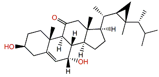 Klyflaccisteroid C